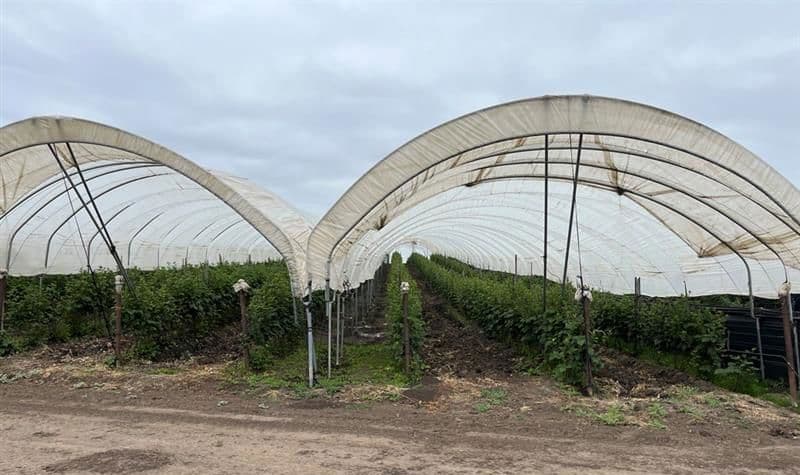 Experienced Leadership